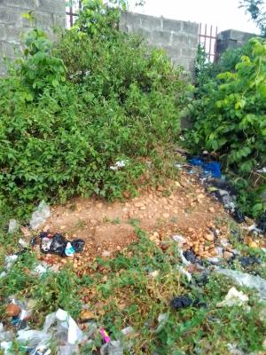 Land Measuring 392.109 Sqm, Soluyi, Gbagada, Lagos, Mixed-use Land for Sale