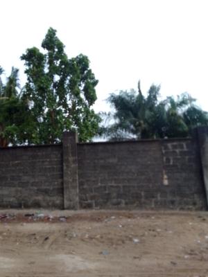 Half Plot of Land Measuring 320 Sqm, Medina, Gbagada, Lagos, Mixed-use Land for Sale