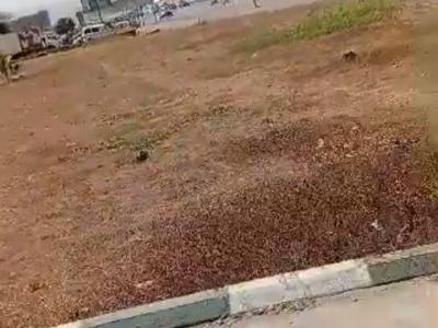 100 Hectares of Land, Kubwa, Abuja, Mixed-use Land for Sale