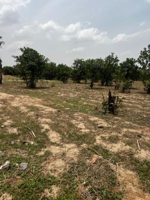 Land in Apo Abuja  170sqm  Fcda C of O  ₦4.5m  Solar City Apo, Apo, Abuja, Residential Land for Sale