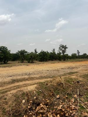 Land 250sqm  Fcda C of O, Apo, Abuja, Residential Land for Sale