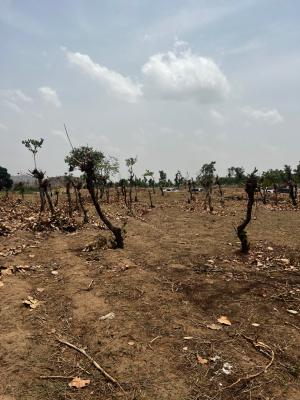 Land 350sqm  Fcda C of O, Apo, Abuja, Residential Land for Sale