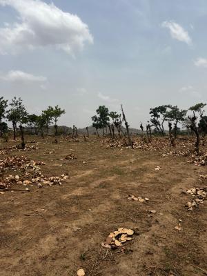 Land in 450sqm  Fcda C of O  ₦12m, Apo, Abuja, Residential Land for Sale