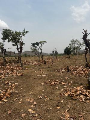 Land 1000sqm  Fcda C of O, Apo, Abuja, Residential Land for Sale