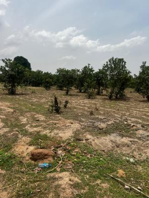1 Hectare Land Fcda C of O, Apo, Abuja, Residential Land for Sale