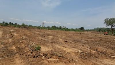 Affordable Estate Land, Ogbeke Nike, Abakpa Nike, Enugu, Enugu, Residential Land for Sale