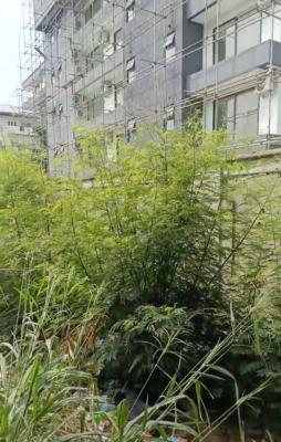 Land Measuring 1,500sqm, Banana Island, Ikoyi, Lagos, Residential Land Joint Venture