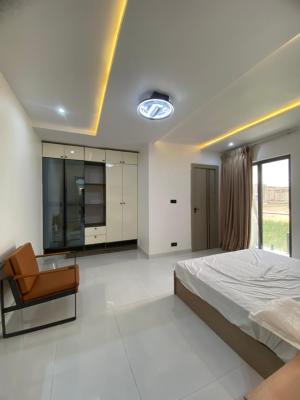 Furnished 2 Bedroom Apartment with Solar Inverter System, Freedom Way, Lekki Phase 1, Lekki, Lagos, Flat / Apartment for Sale