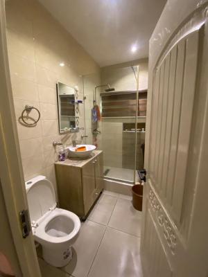 Modern Built Luxury Serviced 2bedrooms Maisonette Apartment with Bq, Kusenla Road, Ikate, Lekki, Lagos, Flat / Apartment for Rent