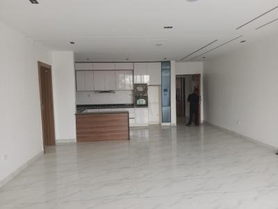 Luxury Brand New 2 Bedroom Apartment, Lekki Right, Oniru, Victoria Island (vi), Lagos, Flat / Apartment for Sale
