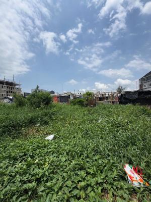 703sqm Bareland, Amore Street Freedom Way, Lekki Phase 1, Lekki, Lagos, Land for Sale