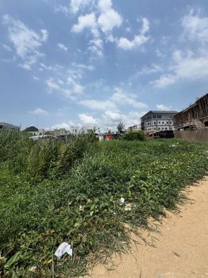 1150sqm Bareland, Off Freedom Way, Lekki Phase 1, Lekki, Lagos, Land Joint Venture
