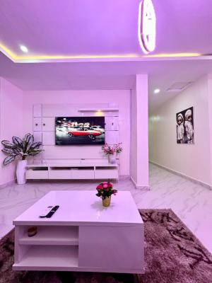 Fully Furnished 2 Bedroom Apartment, Ikate, Lekki, Lagos, Flat / Apartment for Rent