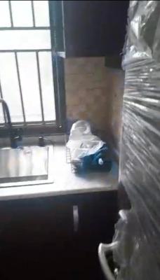 Lovely 2bedroom Duplex, Off Alhaja Eleshi Street Ogudu Central, Ogudu, Lagos, Detached Duplex for Rent