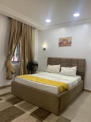 Fully Service and Furnished 1 Bedroom Flat (mini Flat), Phase 1, Lekki, Lagos, Mini Flat (room and Parlour) for Rent