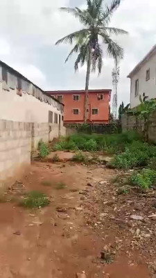 Half Plot of Land, Ipaja, Lagos, Land for Sale