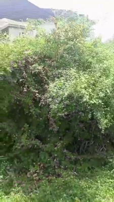 a Plot of Land, Ikotun, Lagos, Land for Sale