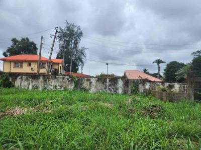 a Carved Out 1000sqm of Land, at Magara Avenue, Iyaganku Gra, Ibadan.*, Ibadan, Oyo, Land for Sale
