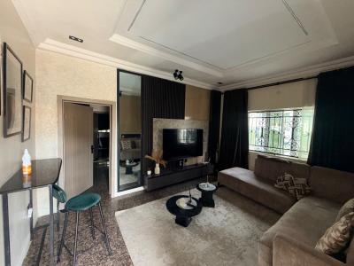 Fully Furnished and Serviced Mini Flat, Lekki Phase 1, Lekki, Lagos, Flat / Apartment for Rent