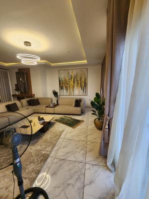 Furnished Luxury 3 Bedrooms Apartment, Garki, Abuja, Flat / Apartment for Rent