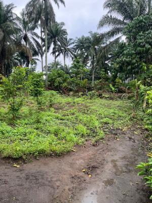 a Parcel of Dry Land, Ikot Ekpene By Uyo Road, Uyo, Akwa Ibom, Residential Land for Sale