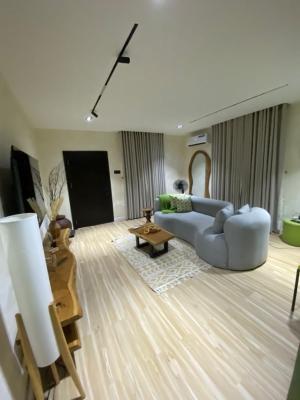 Executive Standard One-bedroom, Joseph Harrison, Onike, Yaba, Lagos, Mini Flat (room and Parlour) Short Let