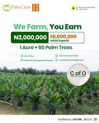 Fertile Farmland with Managed Palm Tree Investment (multiple Packages), Palm Crest Ii / Off Afon Road, Imeko Afon, Ogun, Commercial Land for Sale