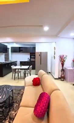 Serviced Mini Flat at Ikate{ Video}, Chiisco Ikate, Ikate, Lekki, Lagos, Mini Flat (room and Parlour) for Rent