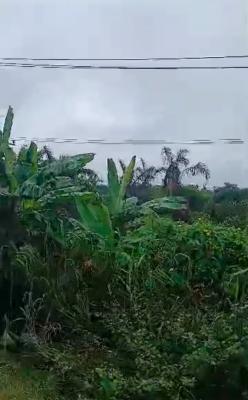 in Agbara/badagry....152 Acres of Land, Agbara-igbesa, Lagos, Land for Sale