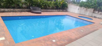 Exquisitely Furnished 3 Bedroom Apartment with Bq, Lugard Avenue, Off Oba Adeyinka Oyekan Road, Old Ikoyi, Ikoyi, Lagos, Flat / Apartment for Rent