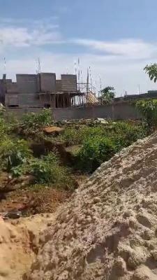 Secured 260 Sqm of Land with Registered Survey, Olaniyi Road, New Oko-oba, Agege, Lagos, Residential Land for Sale
