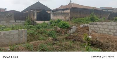 Dry Half Plot of Land with High Roi, Ile Iwe, Meiran, Agege, Lagos, Residential Land for Sale
