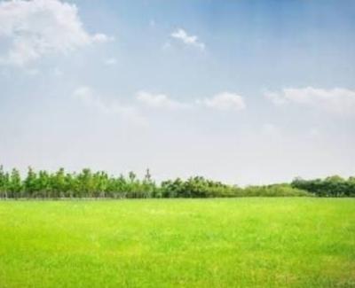 5674. 254sqm Commercial Land: C of O, Mobolaji Bank Anthony Way, Maryland, Lagos, Commercial Land for Sale