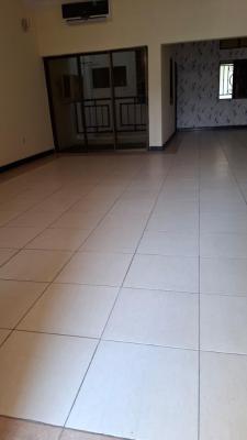 Corporate Letting, Usuma Street, Maitama District, Abuja, Flat / Apartment for Rent
