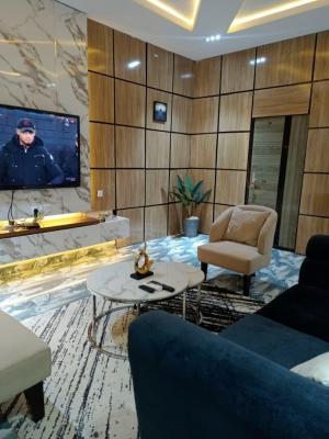 Fully Furnished Studio Apartment, Estate, Osapa, Lekki, Lagos, Mini Flat (room and Parlour) for Rent