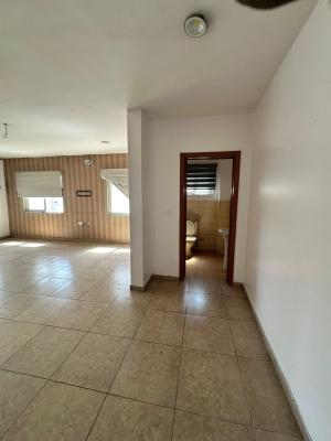 Luxury 3 Bedroom Apartment with Excellent Facility, Ikate, Lekki, Lagos, Flat / Apartment for Rent