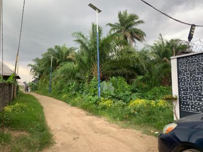 3 Plots of Land (300ft Front By 50ft Side), Off Aker Road By Navy Base Off Iwofe Road, Port Harcourt, Rivers, Residential Land for Sale