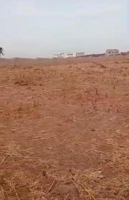 1,500sqm, Residential, C of O, Asokoro District, Abuja, Residential Land for Sale