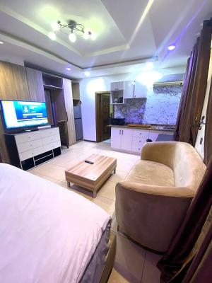 Beautifully Furnished and Serviced Luxury Studio Apartment, Magodo Phase 2 Shangisha, Gra Phase 2, Magodo, Lagos, Self Contain (single Rooms) Short Let