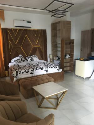 Spacious Furnished Studio Apartment, Westend Estate, Ikota, Lekki, Lagos, Self Contain (single Rooms) for Rent
