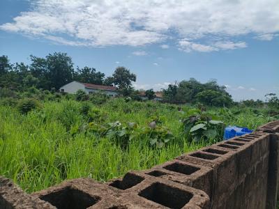 a Fenced 1,351sqm Prime Land, Liberty Academy Off Akala Express Road, Ibadan, Oyo, Residential Land for Sale