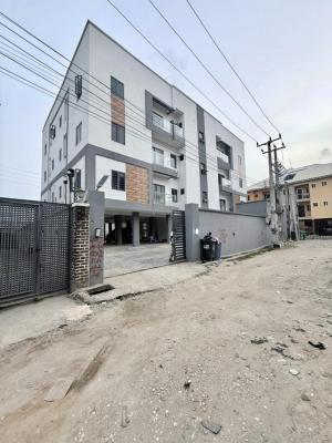 Exquisite Brabd New 2 Bedroom Apartment, Ikate, Lekki, Lagos, Flat / Apartment for Rent