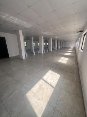 318.09square Meters Serviced Office Space at Lekki Phase 1, Off Admiralty Way Lekki Phase 1, Lekki Phase 1, Lekki, Lagos, Office Space for Rent
