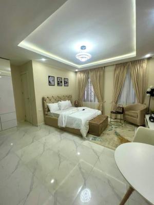 a Spacious and Furnished Studio Room, Ikate, Lekki, Lagos, Self Contain (single Rooms) for Rent