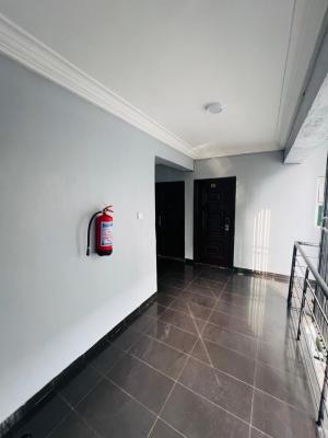 Spacious & Furnished 2 Bedroom Apartment  with 24hours Power, Ologolo, Lekki, Lagos, Flat / Apartment for Rent