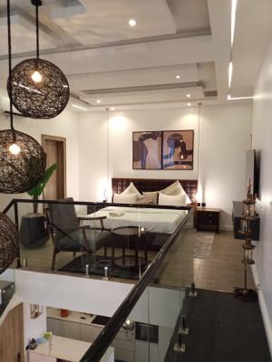 Exquisitely Furnished One Bedroom Loft, Lekki Phase 1, Lekki, Lagos, House for Sale