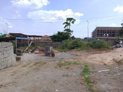 1041 Sqm Land, Old Ife Road, Ibadan Oyo State, Ibadan North, Oyo, Commercial Land for Sale