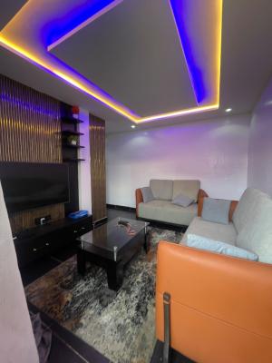 Newly Built Furnished One Bedroom, Iwaya-onike Yaba, Yaba, Lagos, Mini Flat (room and Parlour) for Rent