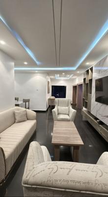 Luxury 2 Bedrooms Apartments, Close to Defense Hq, Area 8, Garki, Abuja, House for Rent