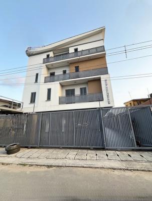 Deluxe 4 Bedroom Duplex with a Bq, Shomolu, Obanikoro, Shomolu, Lagos, Detached Duplex for Sale